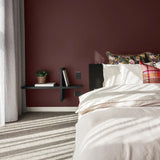 Colourtrend Baked Plum