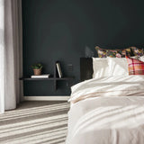 Colourtrend Dressage