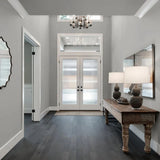 Colourtrend Silver Moonlight